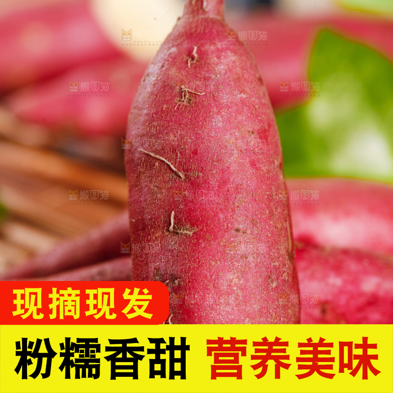 木底上摆放着小红薯