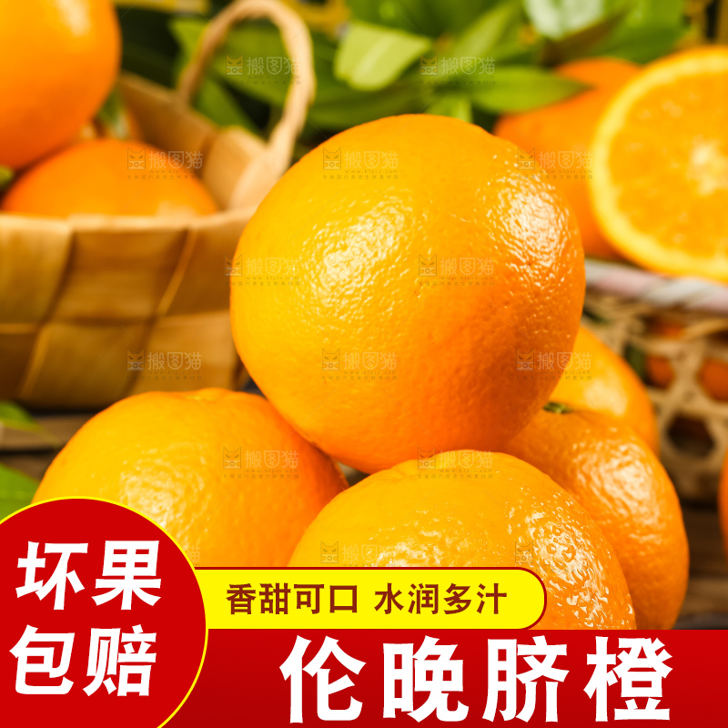 木底上摆放着伦晚脐橙