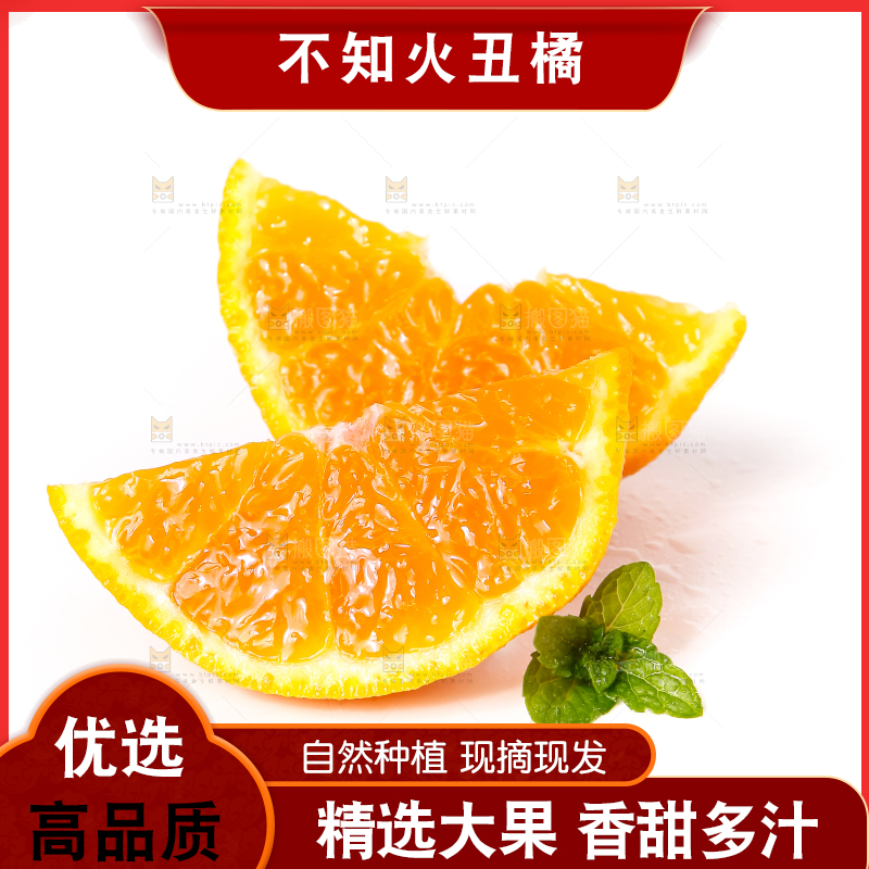 白底上摆放着柑橘