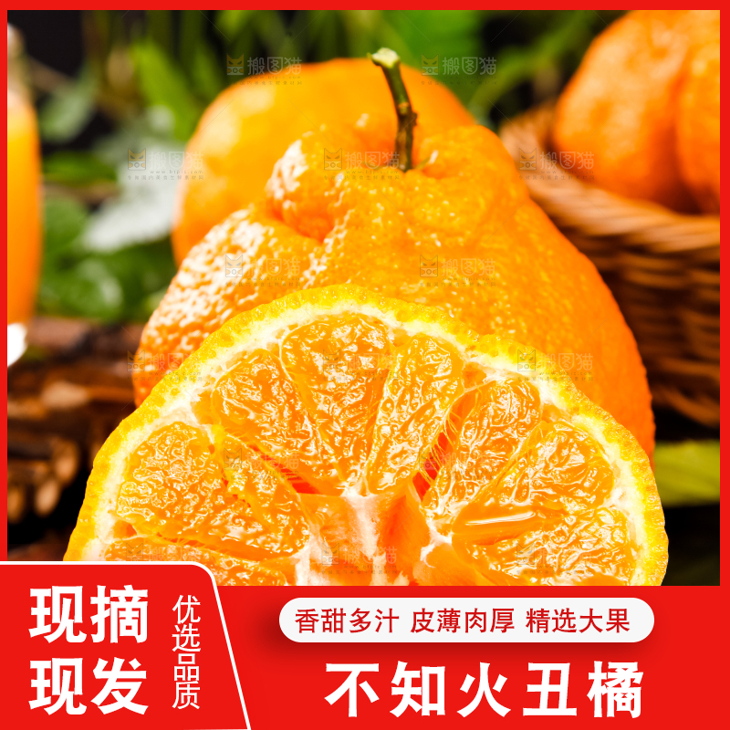 黑底上放着不知火丑橘