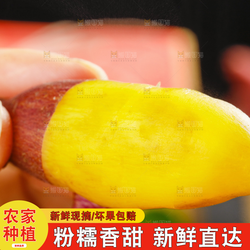 手里拿着小香薯