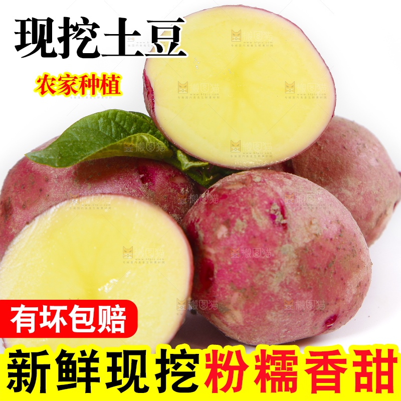 白底上摆放着红皮黄心土豆