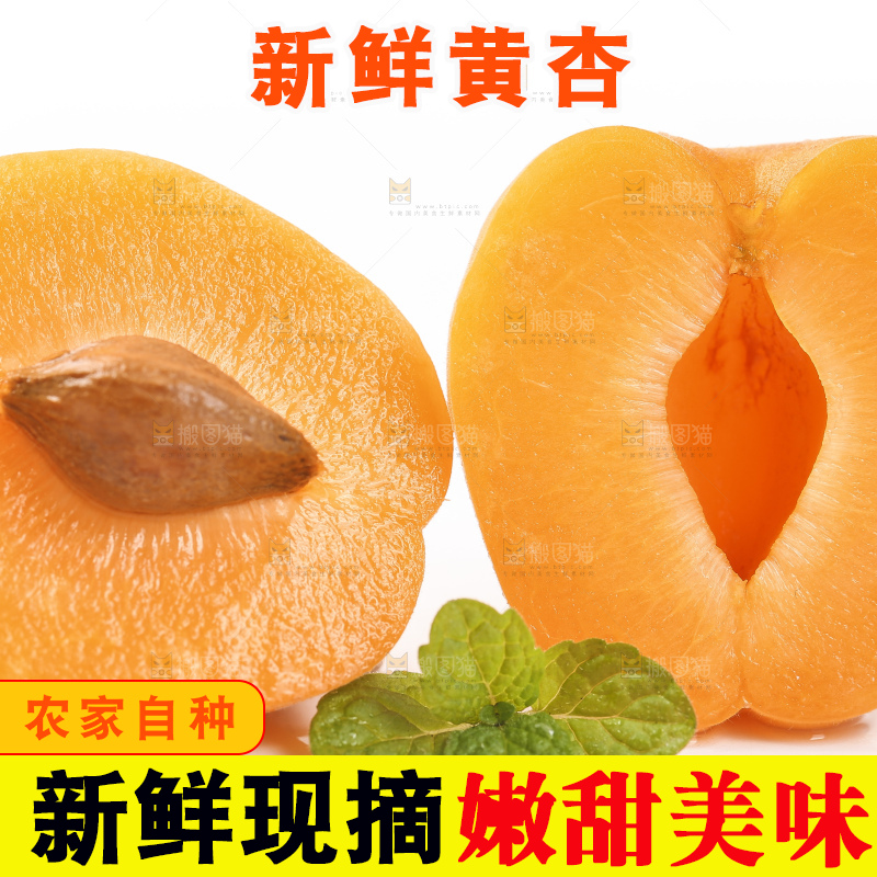 白底上摆放着黄金太阳杏