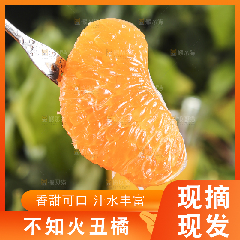 叉子叉着一块柑橘
