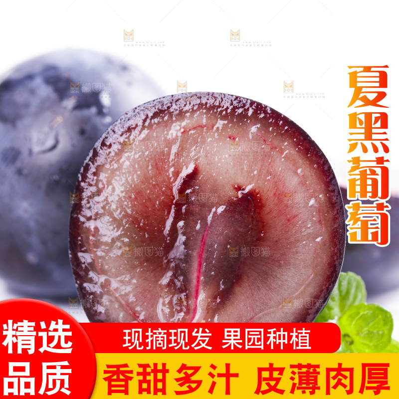 白底上放着夏黑