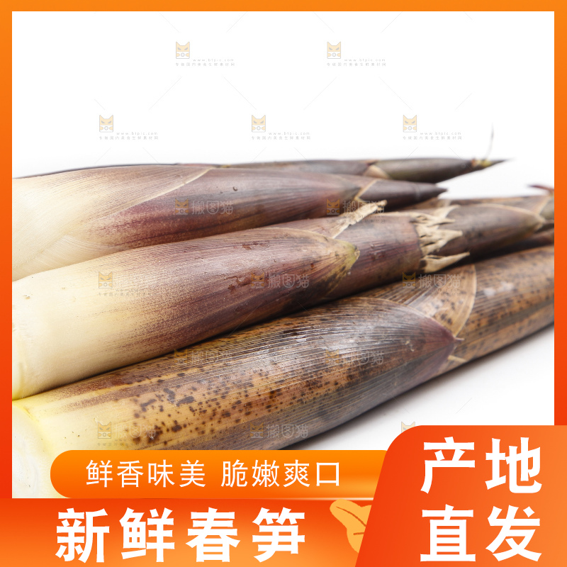 白底上摆放着春雷笋