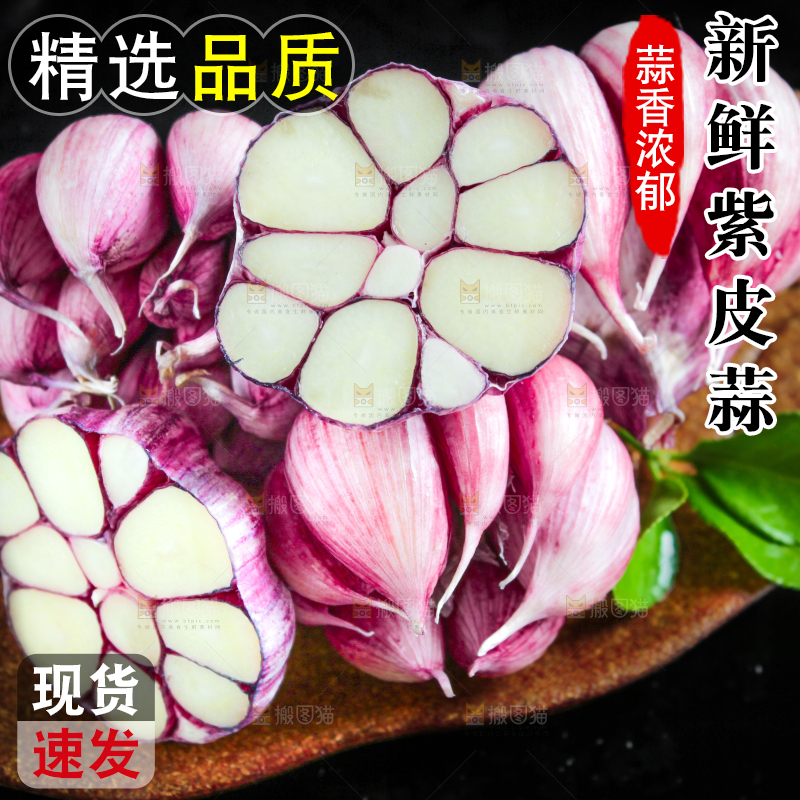 深底上摆放着紫皮多瓣蒜