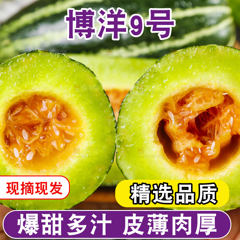 手里拿着酥蜜9号