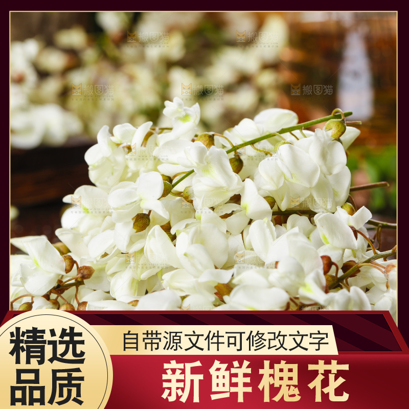 黑底上堆放着一堆的槐树花
