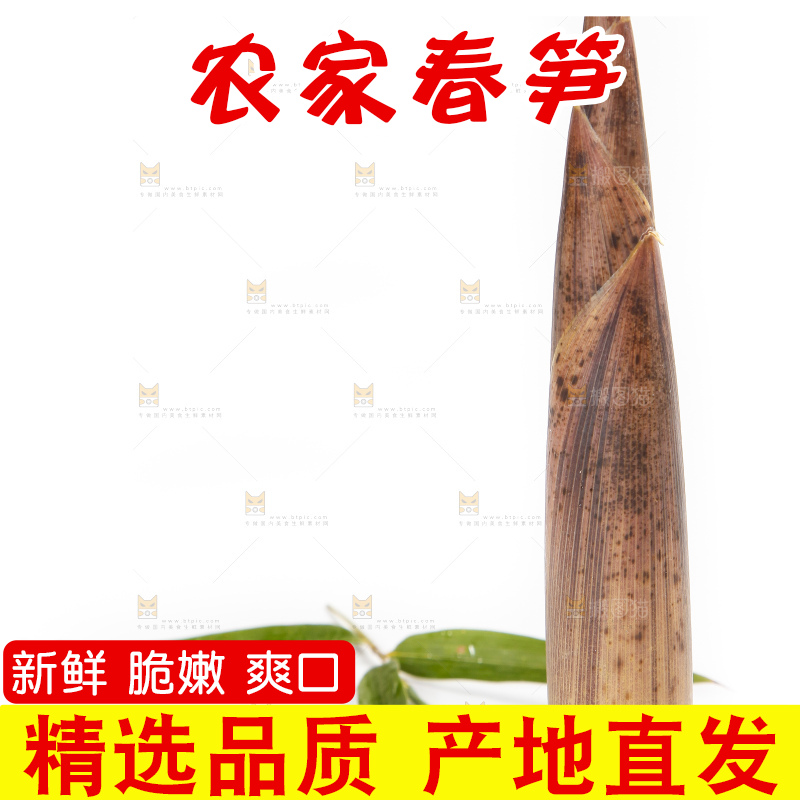 白底上摆放着建瓯雷笋