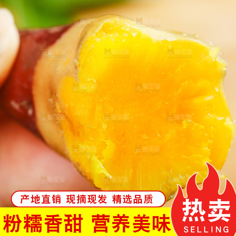 手里拿着小蜜薯