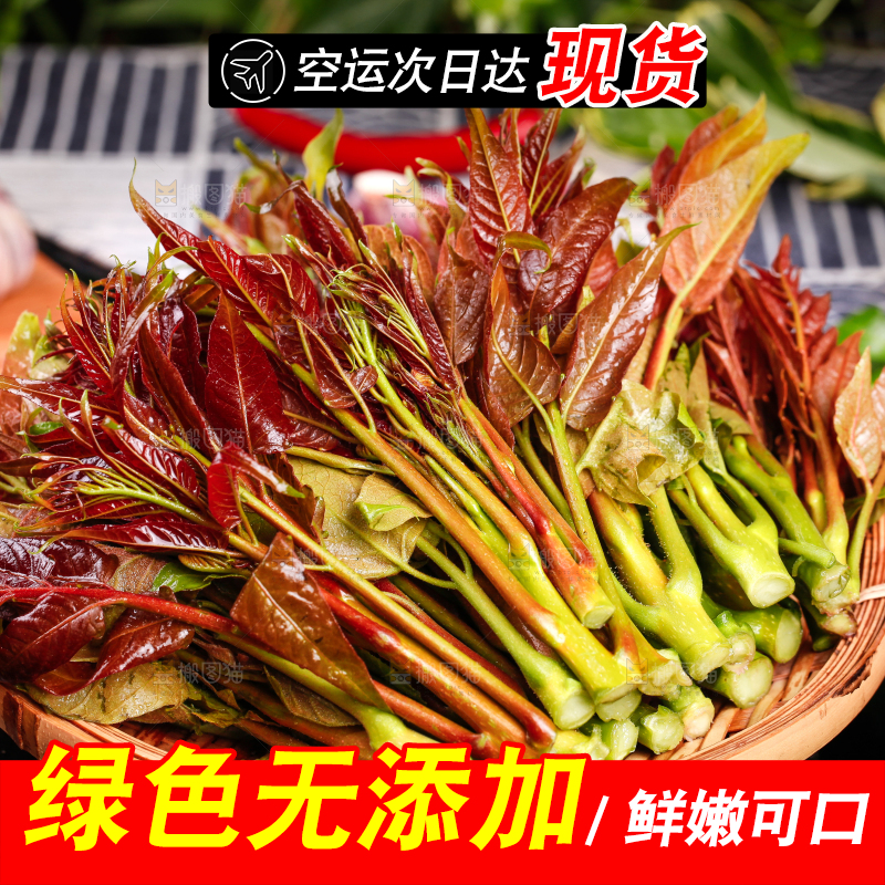 篮子里放着头茬红香椿