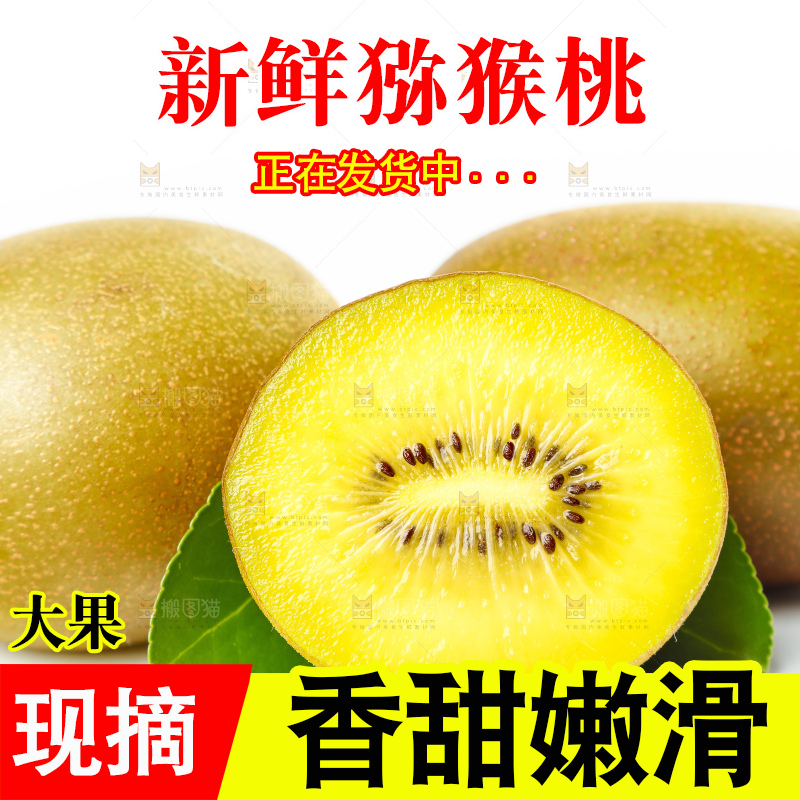白底上摆放着黄金猕猴桃
