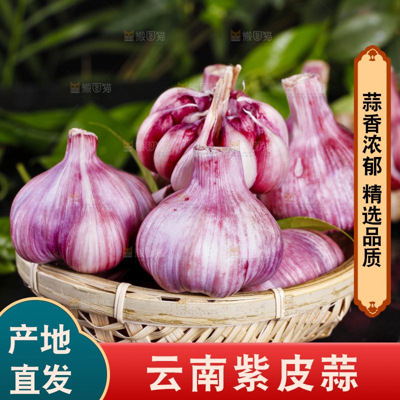 篮子里装着大理紫皮多瓣蒜