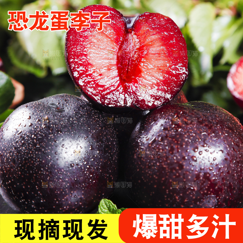 深底上摆放着恐龙蛋李