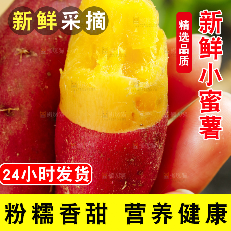 手里拿着临安天目山小香薯