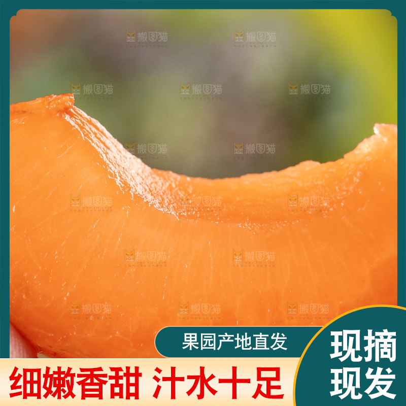 手里拿着凯特杏