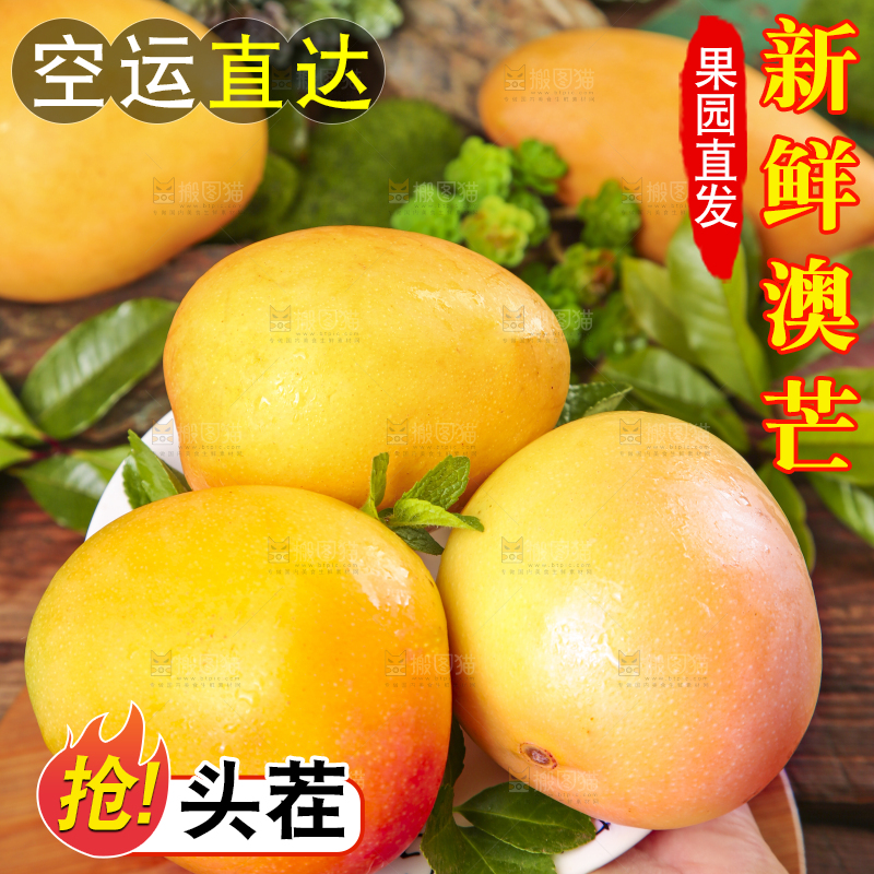 手里拿着澳芒