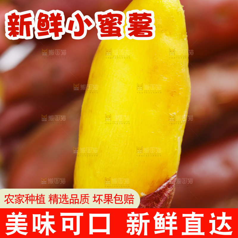手里拿着小香薯