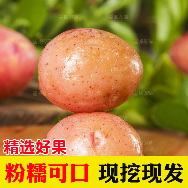 木底上放着红皮洋芋