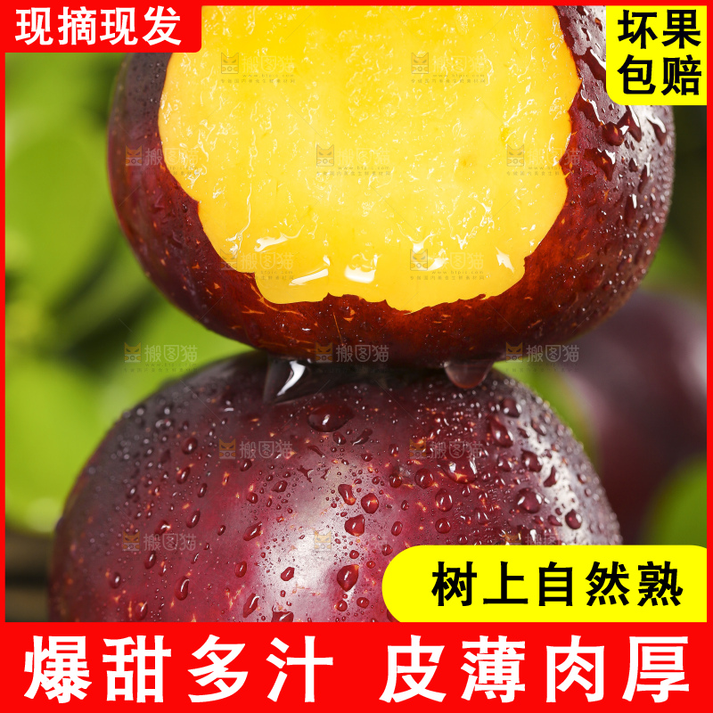 深底上放着黑布朗