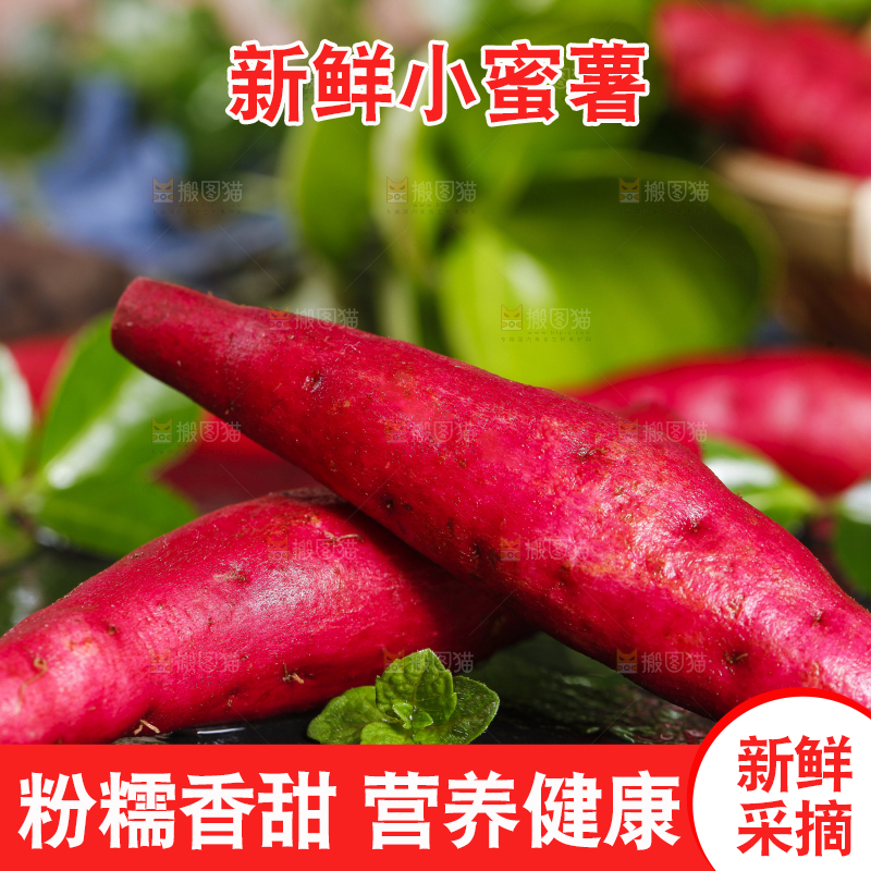 深底上摆放着小红薯