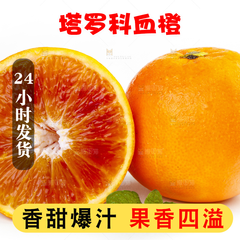 白底上摆放着四川塔罗科血橙