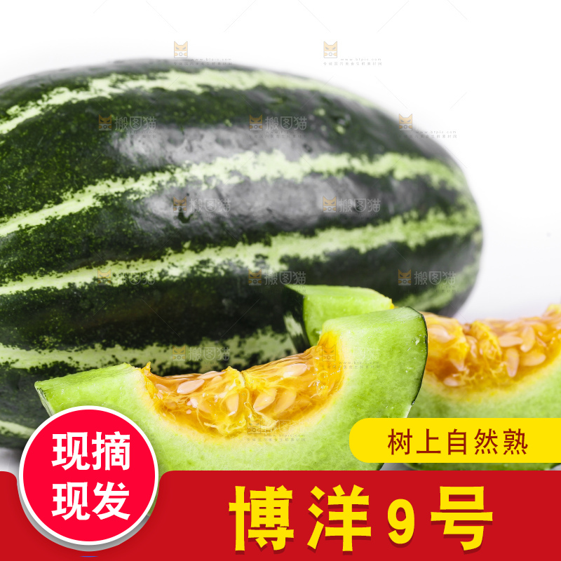 白底上放着博洋甜瓜