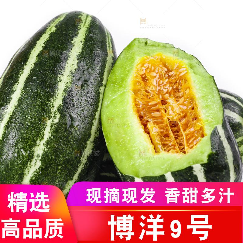 白底上放着博洋甜瓜