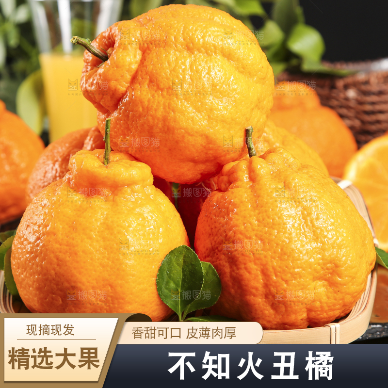 篮子里放着四川不知火丑橘