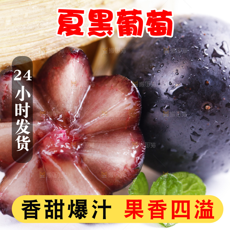 白底上摆放着夏黑