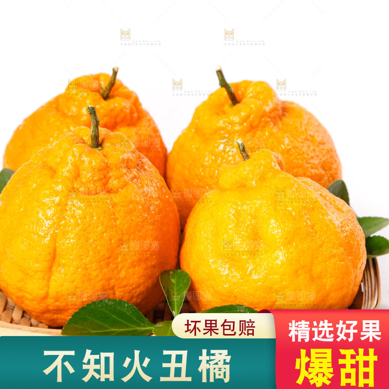 篮子里装着不知火柑橘