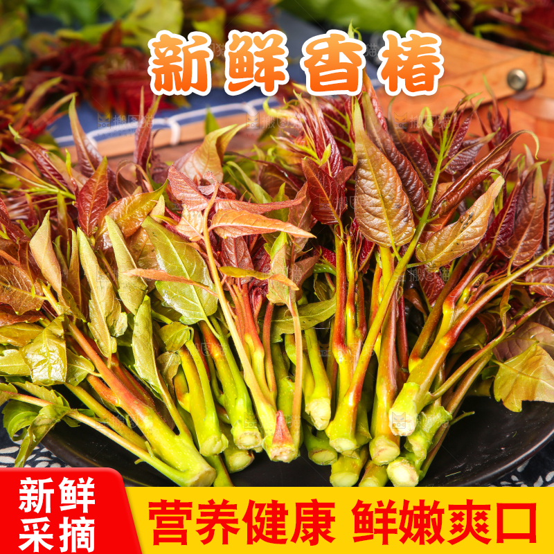 盘子里放着香椿