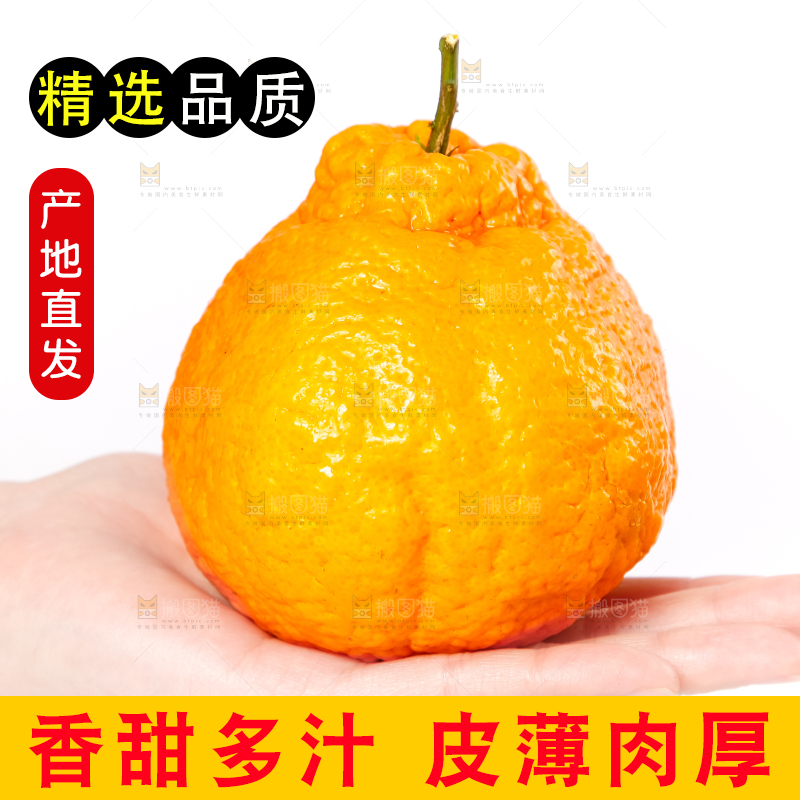 手里拿着丑柑