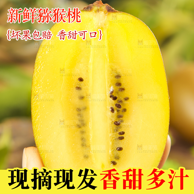 手里拿着黄心猕猴桃