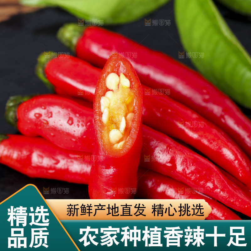 黑底上摆放着小米椒