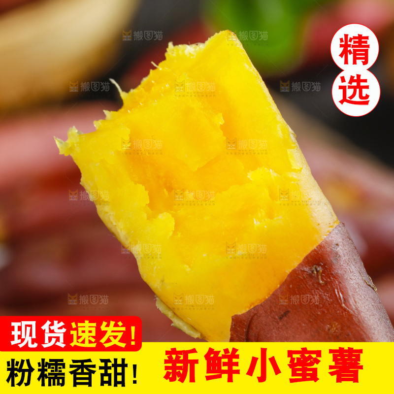 手里拿着天目山小香薯