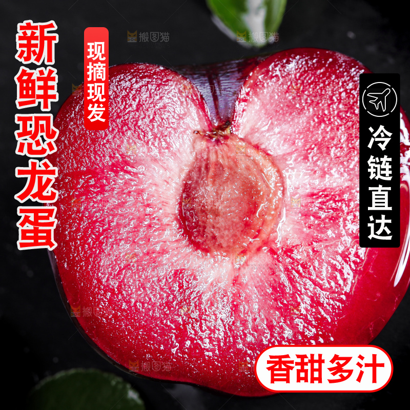 黑底上摆放着智利进口恐龙蛋