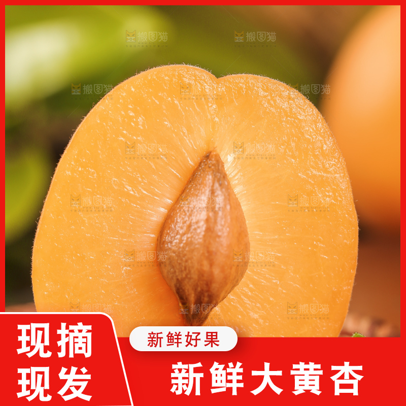 深底上摆放着凯特杏