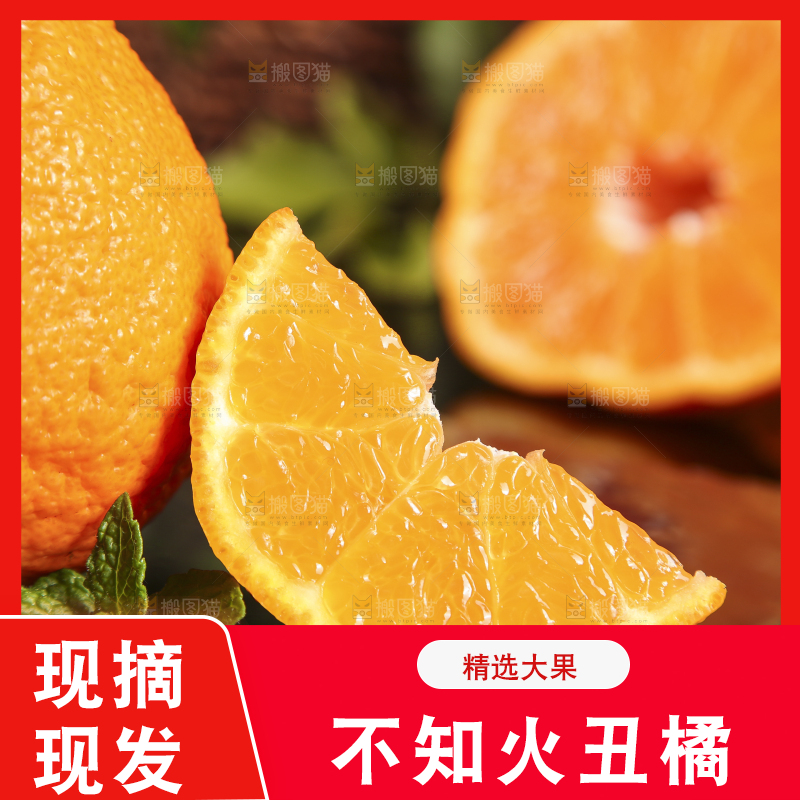 黑底上放着丑八怪橘子