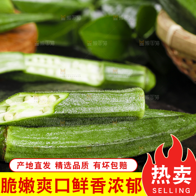 黑底上摆放着嫩秋葵