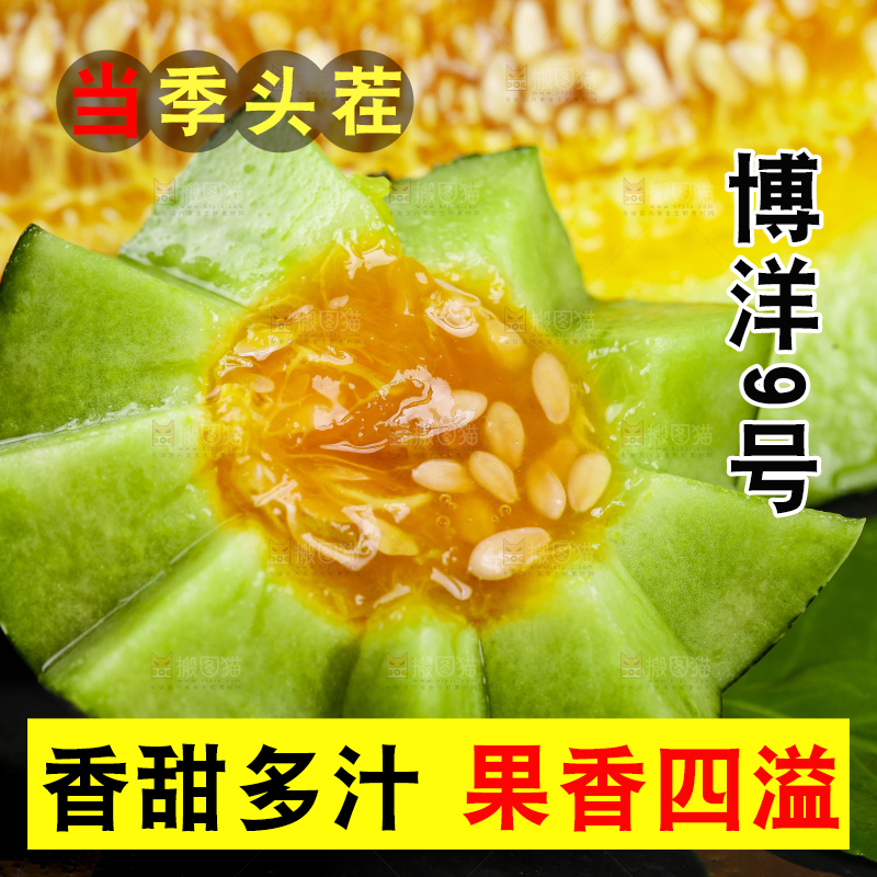 黑底上放着新鲜博洋9号甜瓜