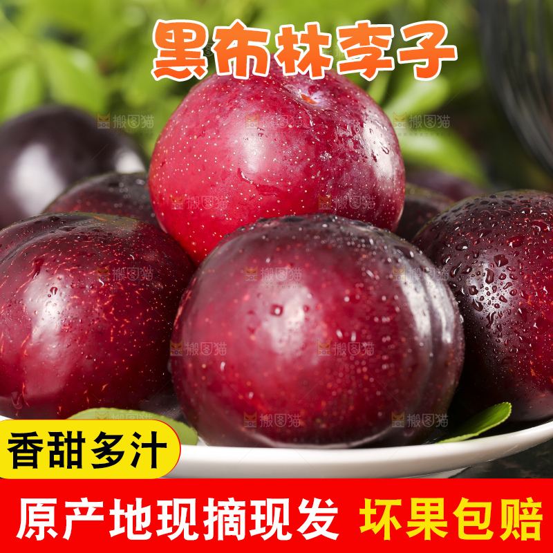 盘子里装着黑布李