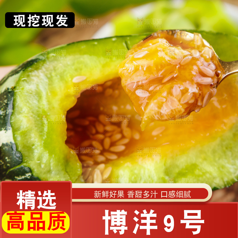 手里拿着博洋甜瓜