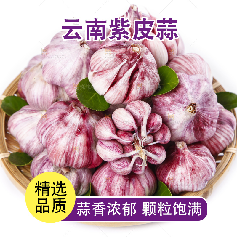 篮子里装着云南紫皮多瓣蒜