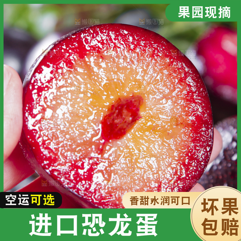 手里拿着红心恐龙蛋