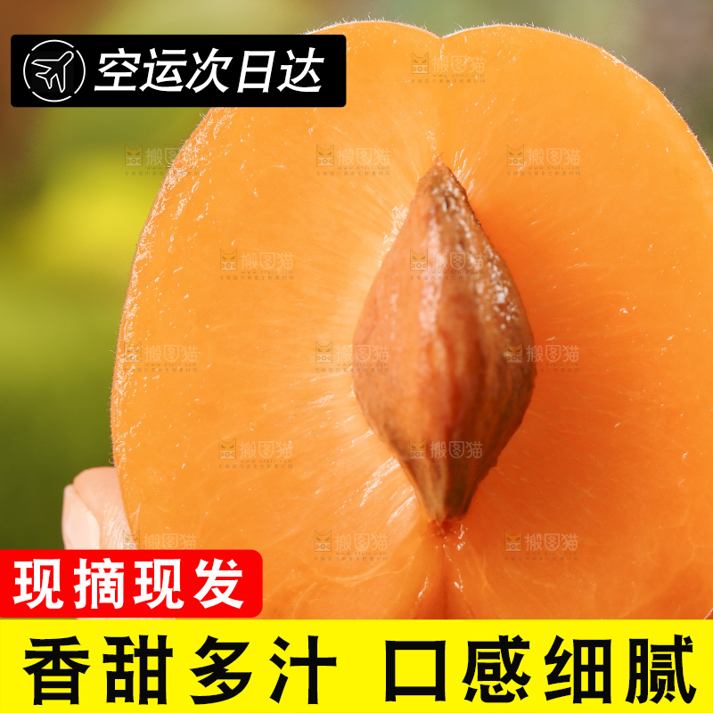 手里拿着凯特杏
