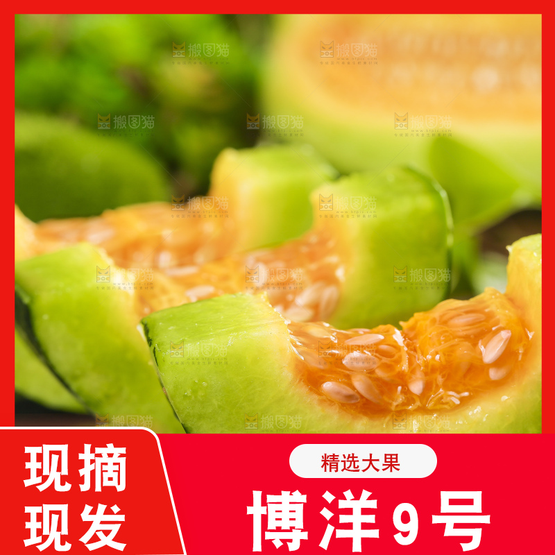 黑底上放着博洋蜜脆甜瓜