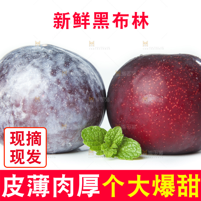 白底上摆放着黑布李