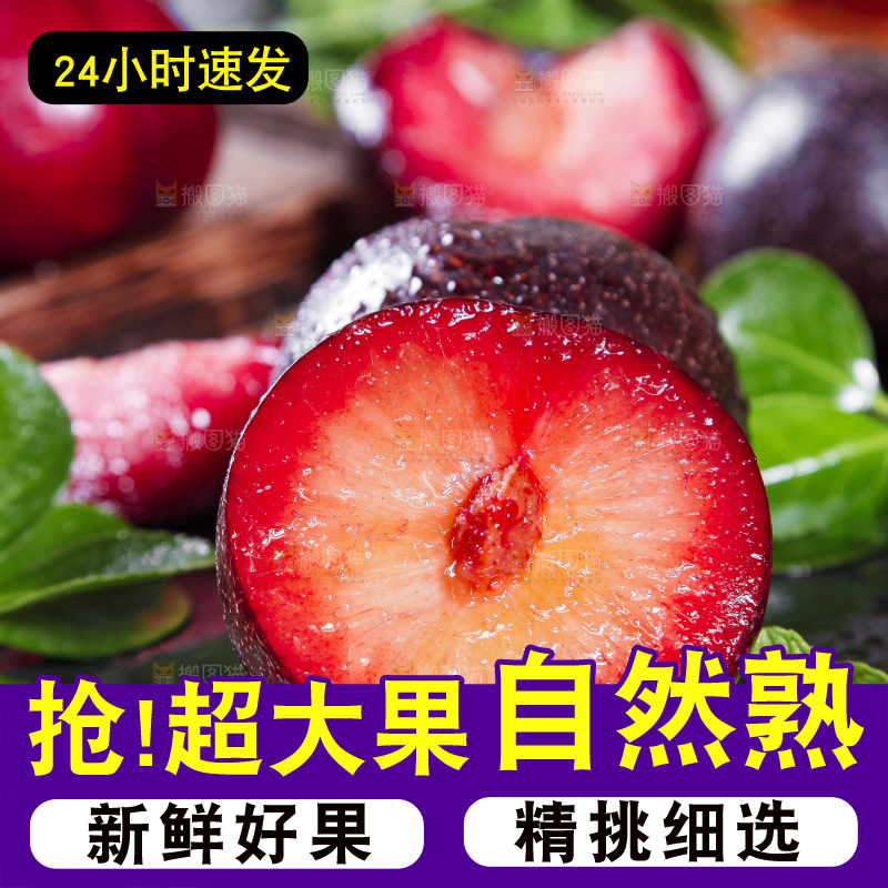 黑底上摆放着智利进口恐龙蛋